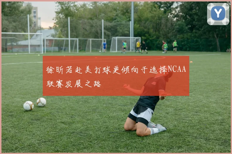 徐昕若赴美打球更倾向于选择NCAA联赛发展之路