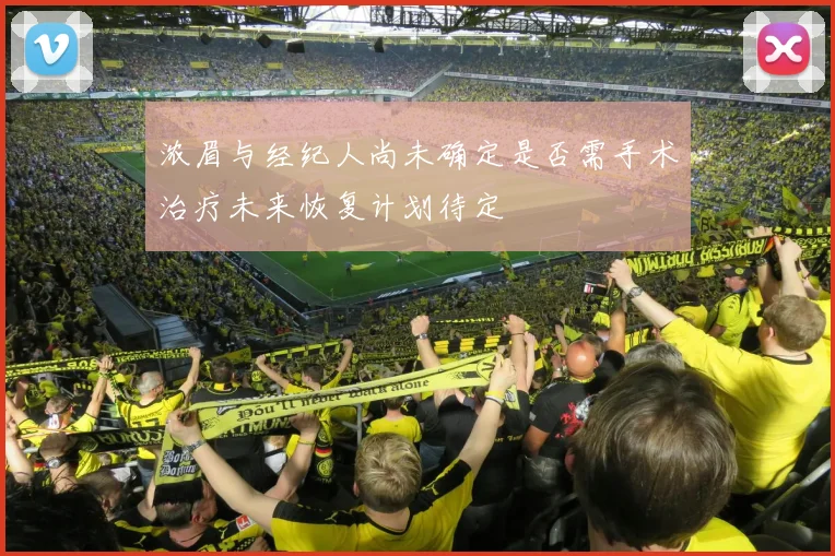 浓眉与经纪人尚未确定是否需手术治疗未来恢复计划待定
